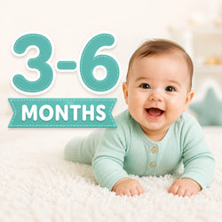 3-6 Months