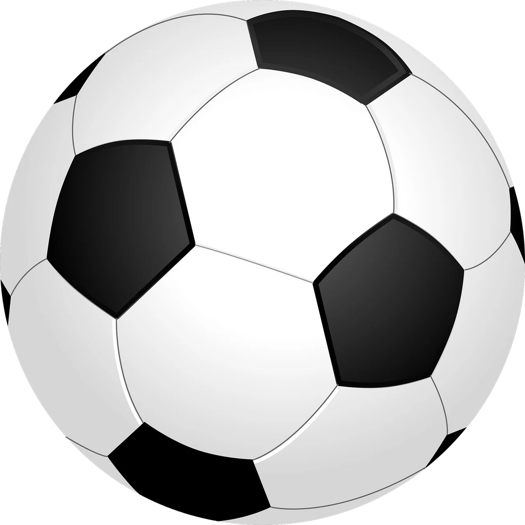FOOD BALL