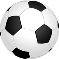 FOOD BALL