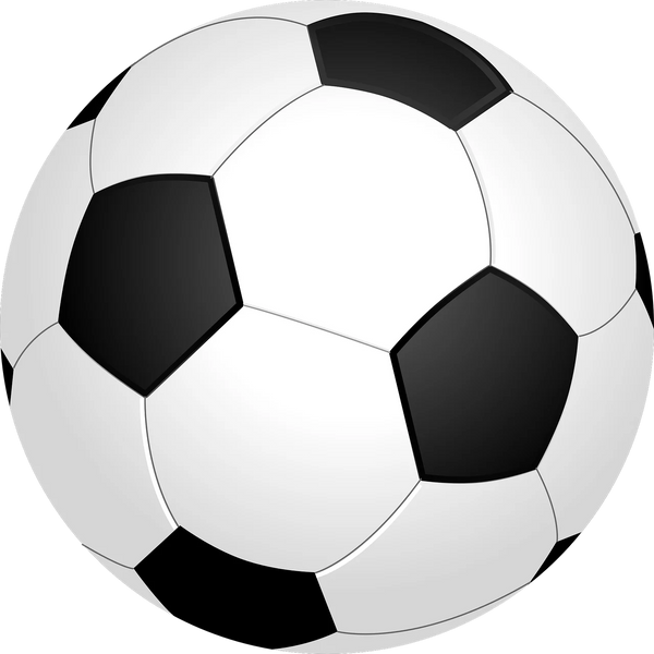 FOOD BALL